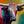 Dottie-Longhorn Decoupage Tissue Paper 29x21 in | Whymsykel