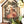 JOIE DES ROSES IOD TRANSFER 12X16 PAD™