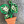 Potted Monstera Earrings | 2.5” | Wisp & Fern