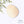 Egg x 1/4