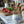 Portofino IOD Paint Inlay 12x16 Pad™