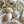 Spring Melody IOD Paint Inlay 12x16 Pad™