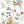 Lost Garden IOD Transfer 12x16 Pad™