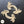 Crescent Pair WUBX1017 17.5x8cm