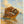 Oregon Coast Collection - Stilwell Scenes