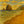 Oregon Coast Collection - Stilwell Scenes