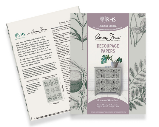 Botanical Drawings - Annie Sloan Decoupage Paper
