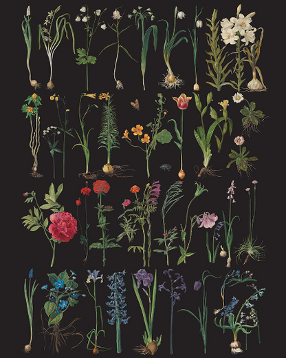 Formal Garden - Annie Sloan Decoupage Paper