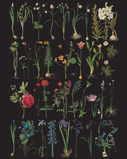 Formal Garden - Annie Sloan Decoupage Paper