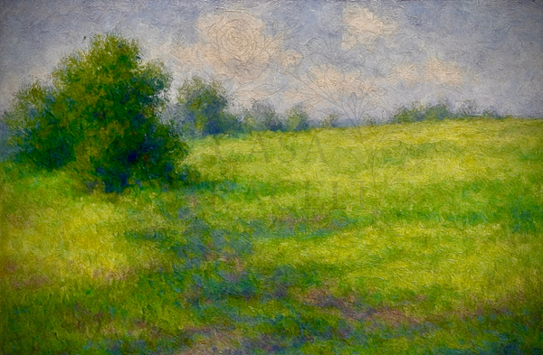 Morning Oak Decoupage - Casa Araceli by ChicaTiza