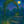 Midnight  Garden Collection - Stilwell Scenes