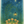 Midnight  Garden Collection - Stilwell Scenes