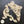 Decorative Pair WUB1239 24.5x26.5cm