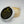 Posh Chalk Metallic Paste - Shiny Gold 110ml