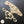 Pack of two Decorative Plume WUB1418