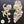 Set of Decorative Floral Scrolls WUB1388-9 16.2x8.2cm