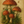 Mushroom Studies: A Vintage Decoupage Paper Collection by Casa Araceli (6 Sheets)