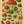 Mushroom Studies: A Vintage Decoupage Paper Collection by Casa Araceli (6 Sheets)