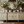 PETITE FLEUR PINK IOD PAINT INLAY 12X16 PAD™