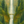 Forest Falls — Vertical Waterfall Scene on 24×36 Rice Paper | Casa Araceli