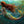 Nadia Mermaid