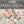 Spring Melody IOD Paint Inlay 12x16 Pad™