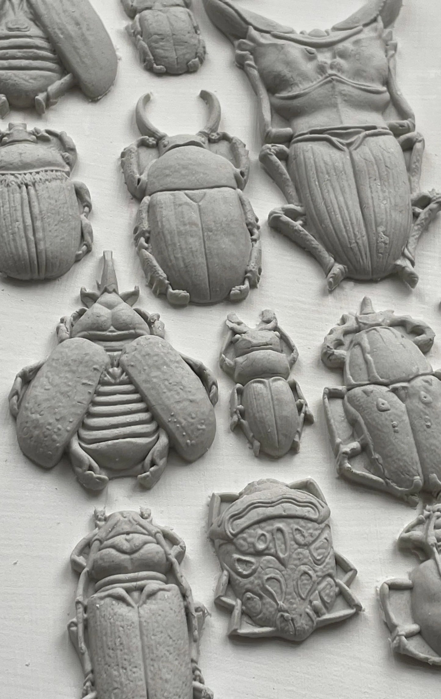 SPECIMENS 6X10 IOD MOULD™