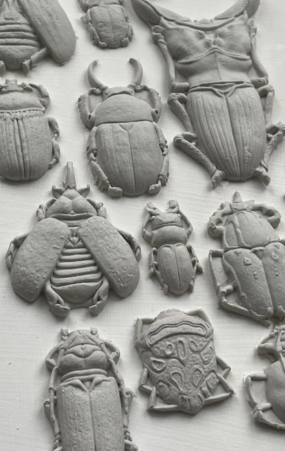 SPECIMENS 6X10 IOD MOULD™