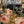 JOIE DES ROSES IOD TRANSFER 12X16 PAD™
