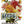 Seed Catalogue IOD Transfer 8x12 Pad™