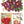 Seed Catalogue IOD Transfer 8x12 Pad™