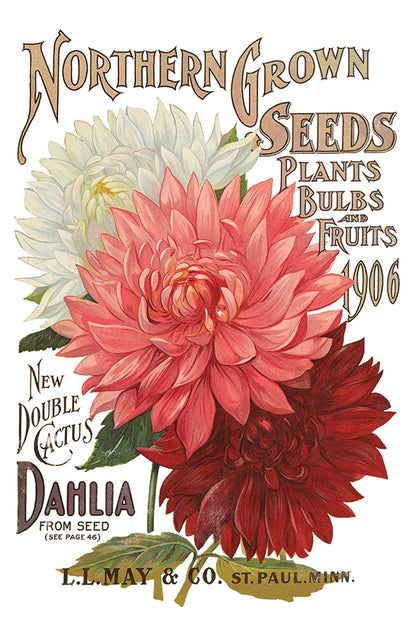 Seed Catalogue IOD Transfer 8x12 Pad™
