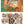 Seed Catalogue IOD Transfer 8x12 Pad™