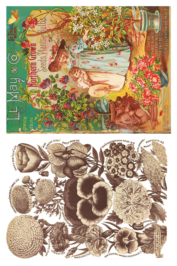 Seed Catalogue IOD Transfer 8x12 Pad™