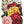 Seed Catalogue IOD Transfer 8x12 Pad™
