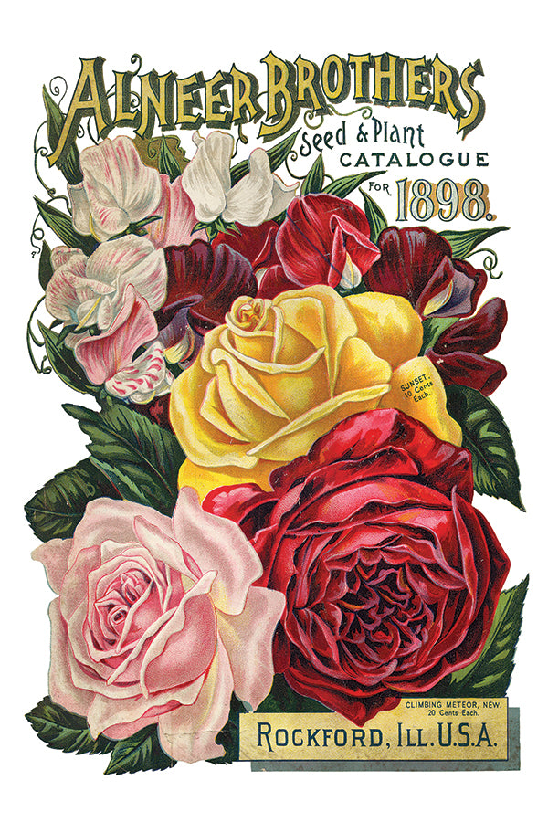Seed Catalogue IOD Transfer 8x12 Pad™