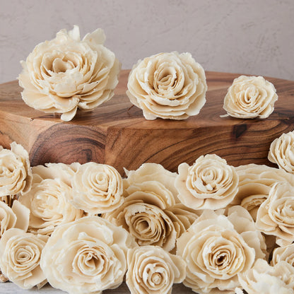 Sophia Sola Flowers - set of 12 - 2.5 inches