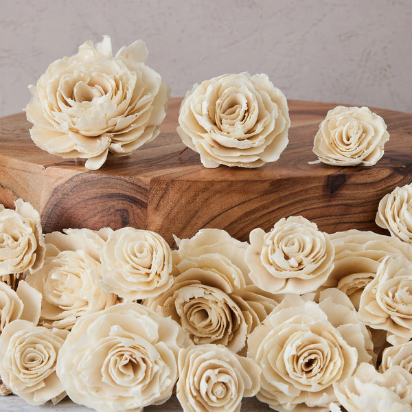 Sophia Sola Flowers - set of 12 - 2.5 inches