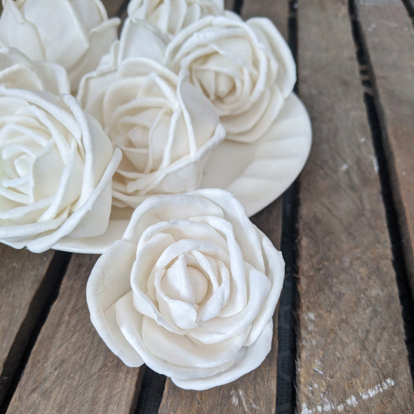 Thelma Roses Sola Flowers - 2.5 inches