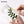 FolkArt Angle Brush Set 5 Piece