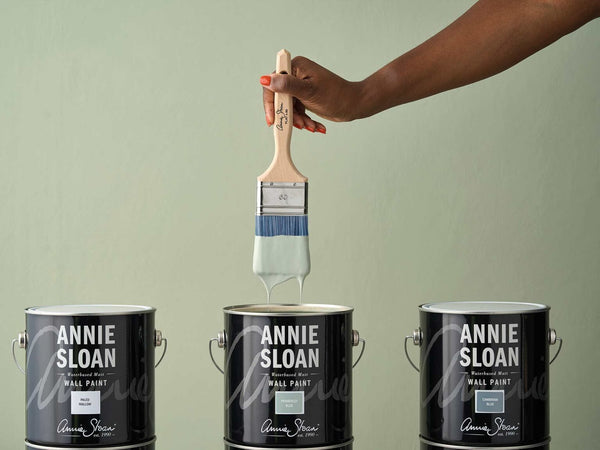 Annie Sloan Paled Mallow Wall Paint with brush and coordinating blue wall paint colors