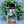 Snowman Santa Scene ChicaTiza craft kit