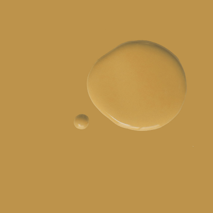 Carnaby Yellow  - Satin Paint by Annie Sloan