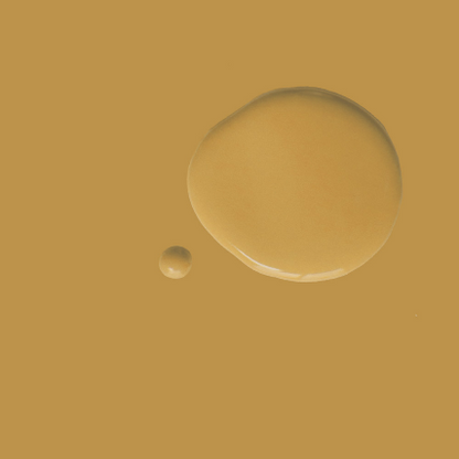 Carnaby Yellow  - Satin Paint by Annie Sloan