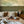 Olive - Annie Sloan Wall Paint