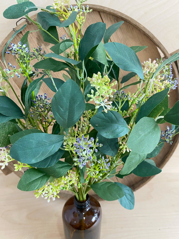 Summer Eucalyptus, Seeded