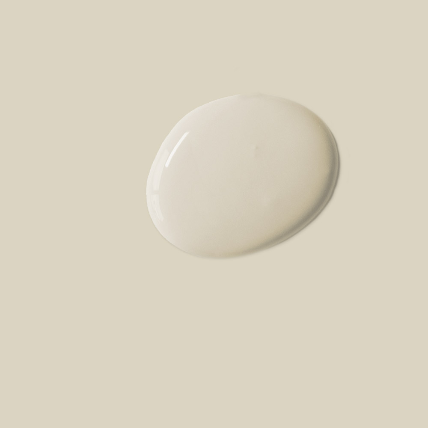 Canvas  - Annie Sloan  Satin Paint®