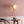Piranesi Pink - Wall Paint by Annie Sloan
