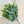 Large Ruscus Stem Artificial Greenery - 14 inches
