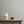 Doric  - Annie Sloan Wall Paint